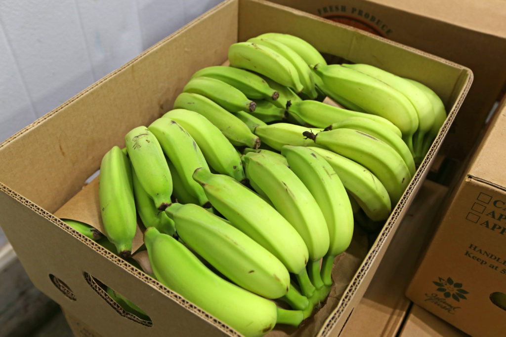 Green Banana